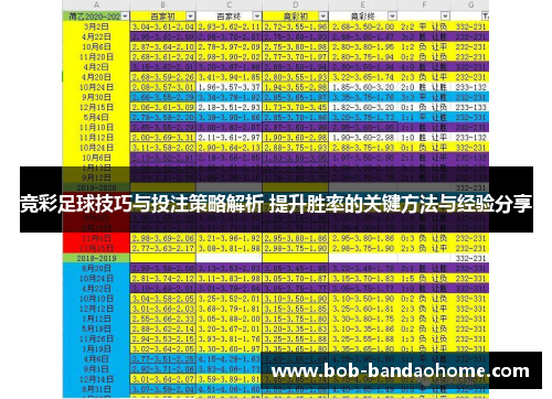 竞彩足球技巧与投注策略解析 提升胜率的关键方法与经验分享