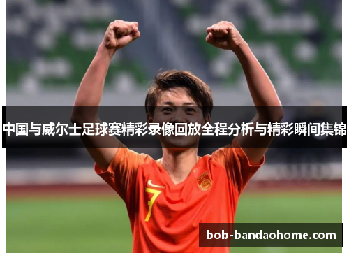 中国与威尔士足球赛精彩录像回放全程分析与精彩瞬间集锦