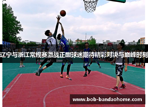 辽宁与浙江常规赛激战正酣球迷期待精彩对决与巅峰时刻